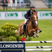 Quevara van de Vlierbeek Z