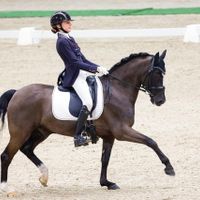 MATCHO D VAN PRINSENHOF'S