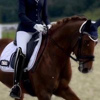 Hilkens Scarlet Delight WE