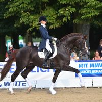 Füchtels Floriscount OLD