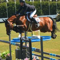 Boeckmanns Lord Pezi Junior