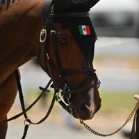 CERANO V/H DINGENSHOF