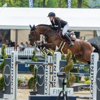 A Crazy Son Of Lavina