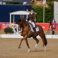 Davidoff Ter Kwincke