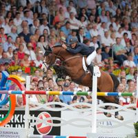 Utamaro D Ecaussines