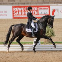 HARMONY'S ECLECTISCH