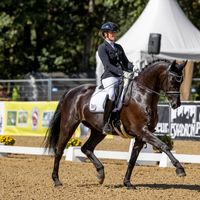 Gut Wettlkam's Chuck Bass