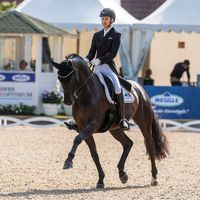 Treffinger's Superstition