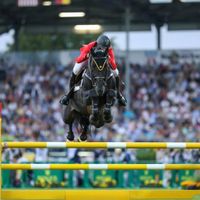 Iron Man van de Padenborre