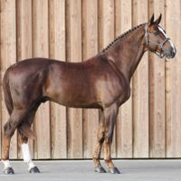 Faut-Il des 7 Vallons