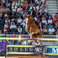 CALLISTO DES BIEFFES