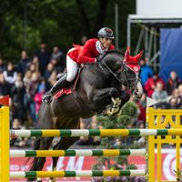 Le Blue Diamond V't Ruytershof