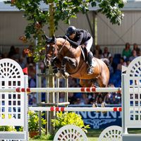 Mosito van Het Hellehof