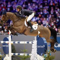 Like A Diamond van Het Schaeck