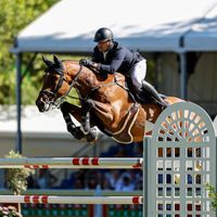 Gangster v/h Noddevelt