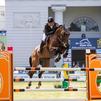 Skorphults Baloutendro