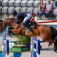 Rokfeller de Pleville Bois Margot