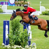 Vitalhorse Naiade d'Elsendam Z