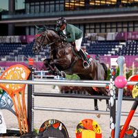 Istanbull V.h Ooievaarshof