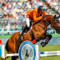 Sterrehof's Calimero