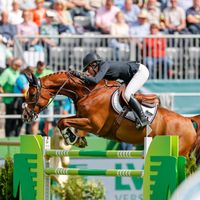 Equine America Papa Roach