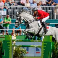 Cheston de la Pomme d'Or Z