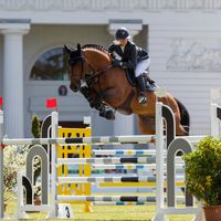 Agana van Het Gerendal Z