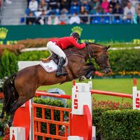 Kasper van het Hellehof