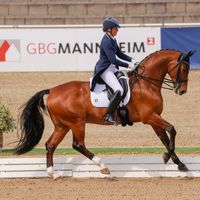 FÜRST FERDINAND ZUR FASANENHÖHE