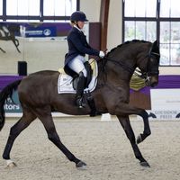 Mist Of Titanium OLD