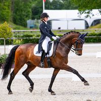 Christianslund Furstino