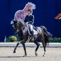 Gut Wettlkamp's Zonik Hit OLD