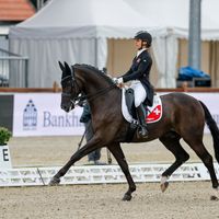 Delioh von Buchmatt CH