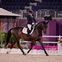 Keystone Dawn Chorus