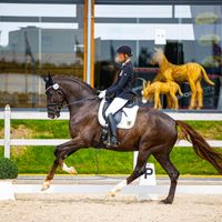 Highlander Delight's