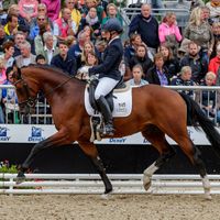 Birkhof's Thapelo FBW