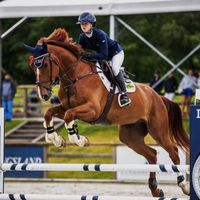 Don Camillo Vd Ronevallei Z