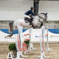 CENDRILLON DU RUISSEAU Z