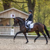 Maxi Kraft's Barcelo OLD