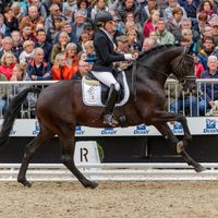 Robert Downey junior