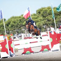 Newton van't Zorgvliet