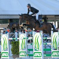 Conrad van de Mispelaere