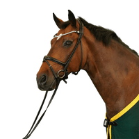 Willingapark Sky Diamond