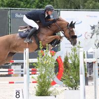 Skelwith Diamond Lady