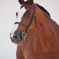 Dolce Blue Du Montet