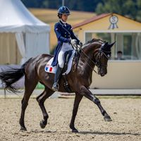 Soleil Noir Vom Rosenhof