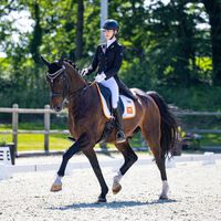 Verdi de La Fazenda 2