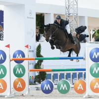 MoM's Coleraine Des Bergeries