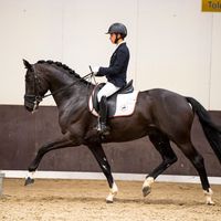 Hexagons Gorgeous Black Art