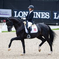 ROMEO VON FUERSTENBALL